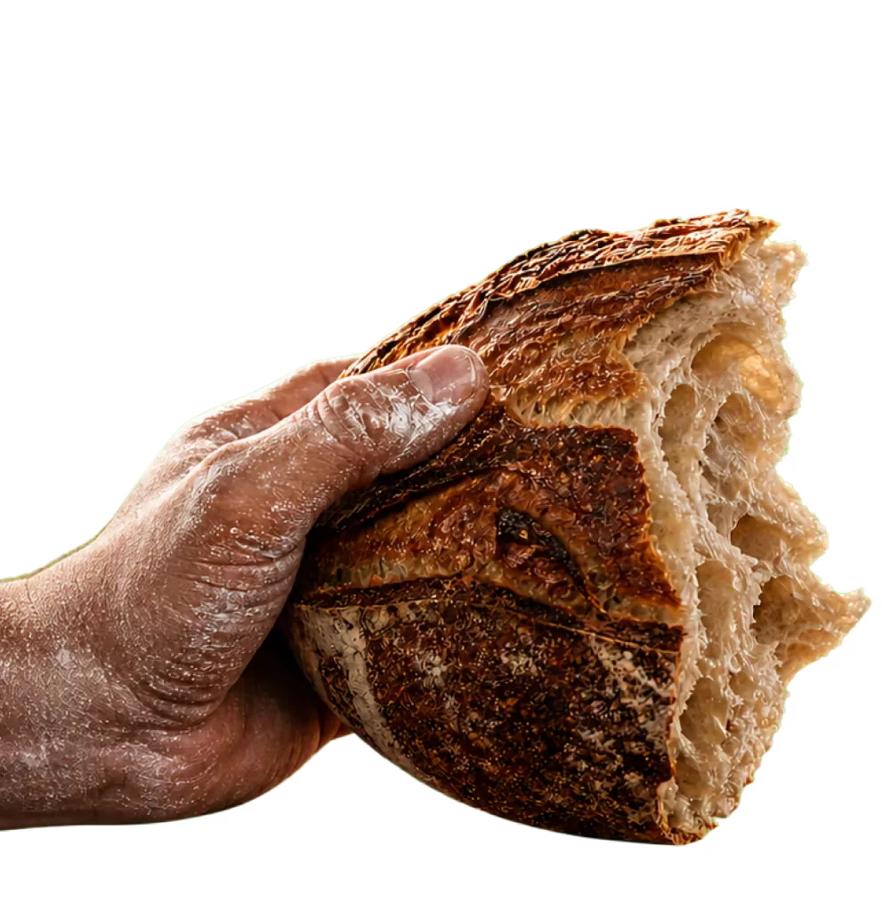 Hand holding a torn sourdough loaf, entering from the left