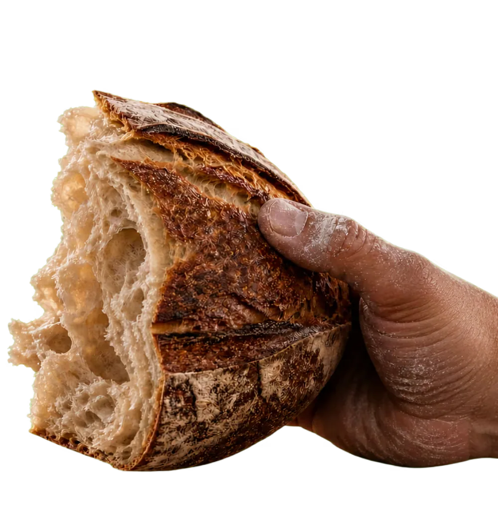 Hand holding a torn sourdough loaf, entering from the right